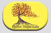 macaron-maillon.png